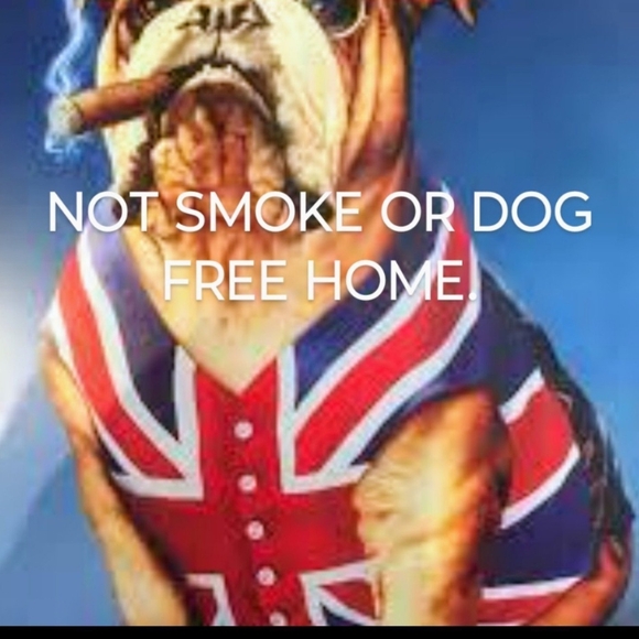 Skims Towel Robe - Picture 10 of 10